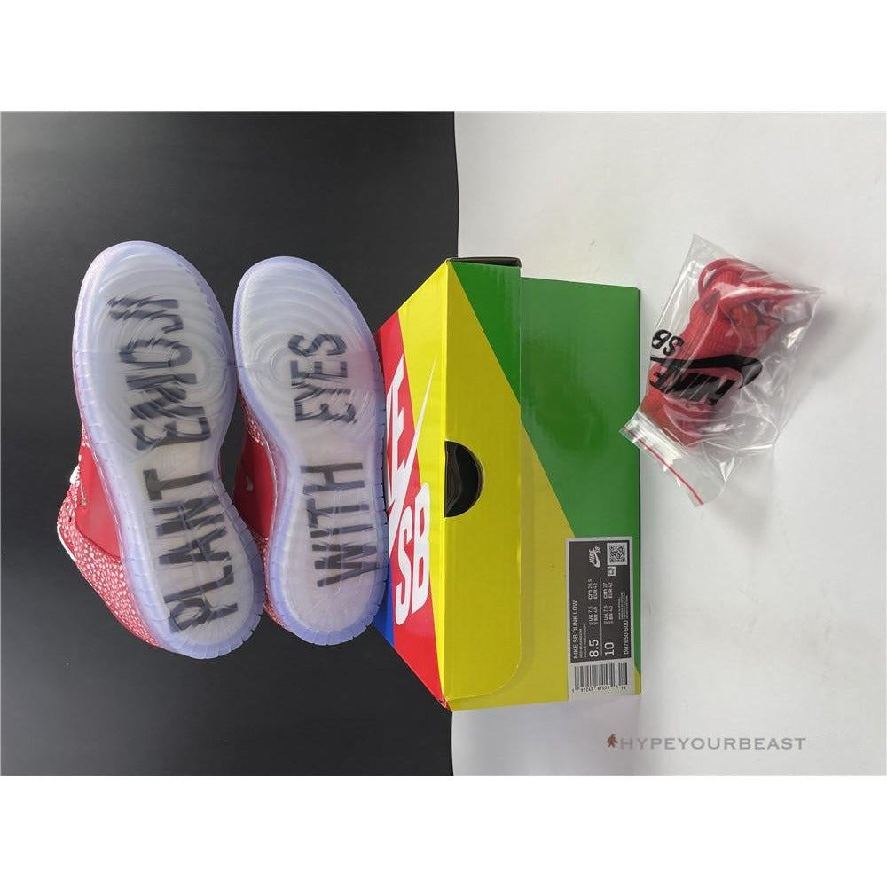 Nike Stingwater X SB Dunk Low 'Magic Mushroom'