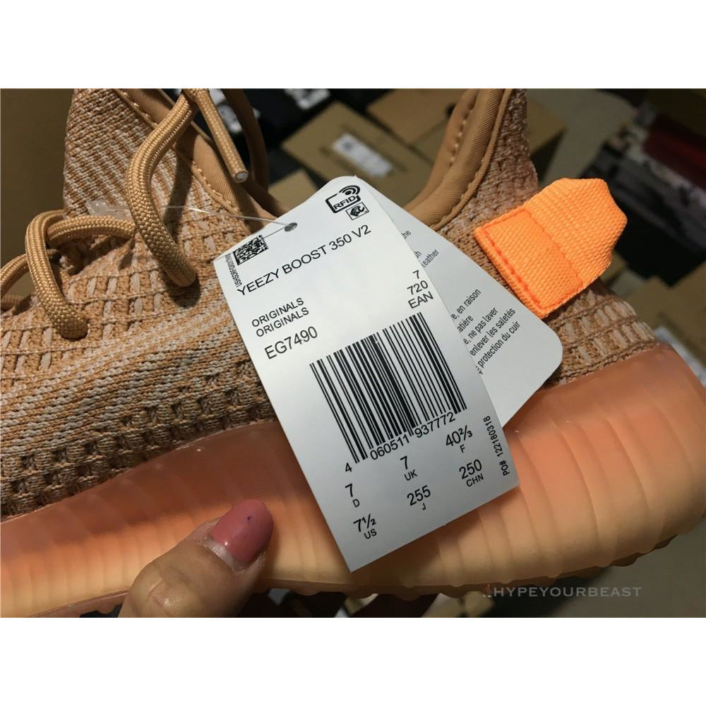 Adidas Yeezy Boost 350 V2 'Clay'