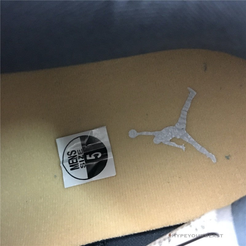 Air Jordan 4 WMNS 'Chameleon'