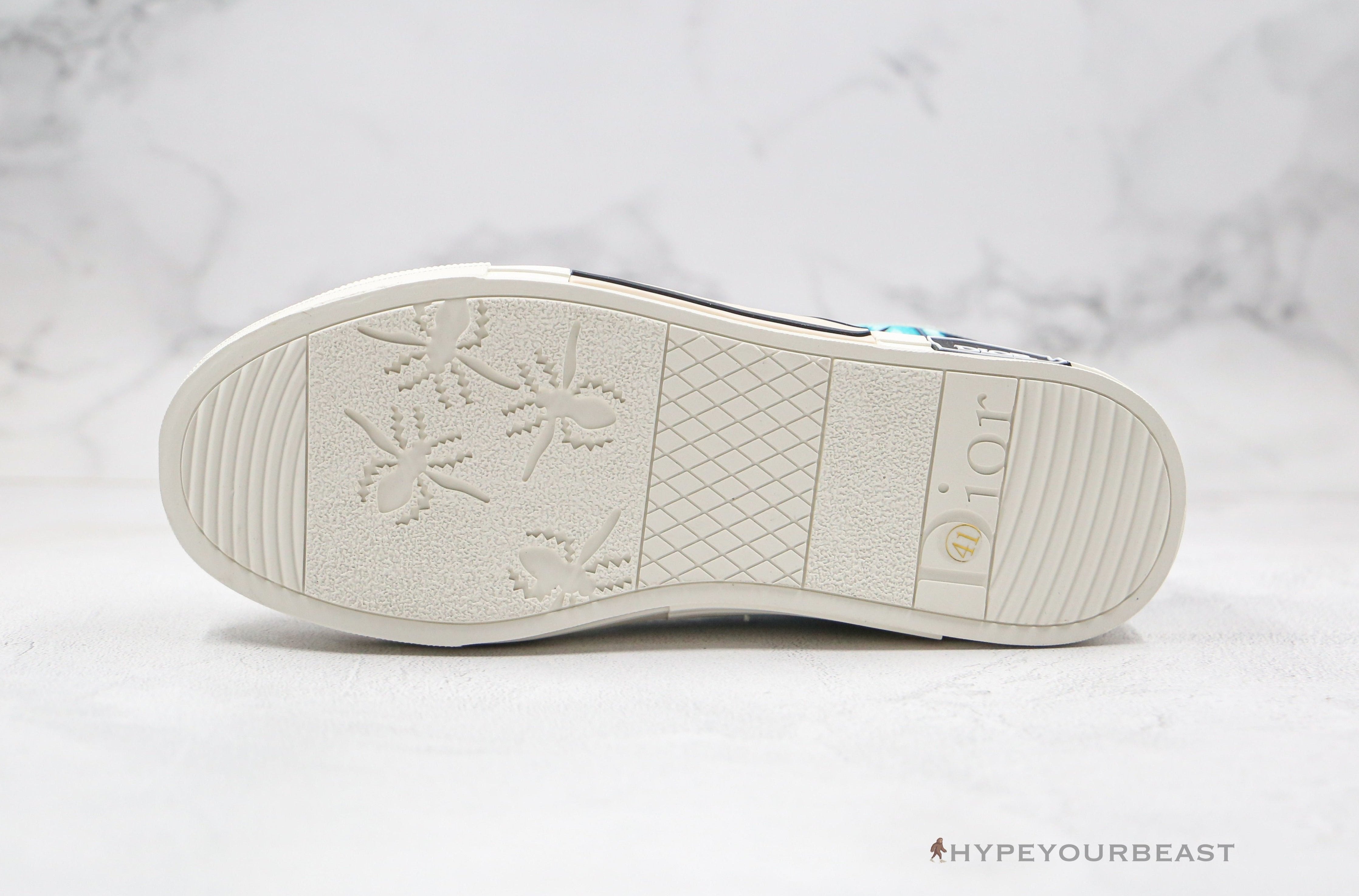 Dior B23 Low Multi Color