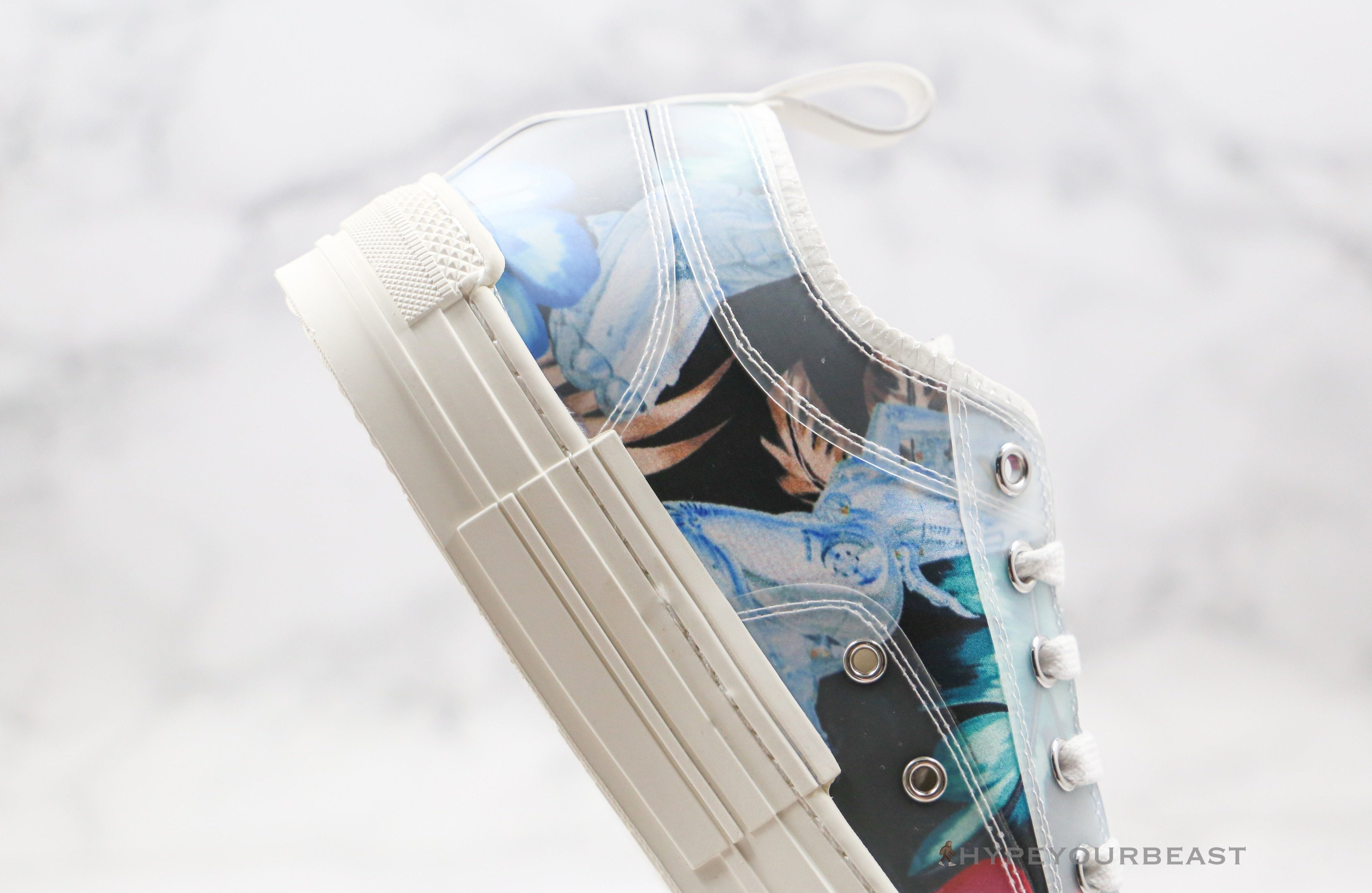 Dior B23 Low Multi Color