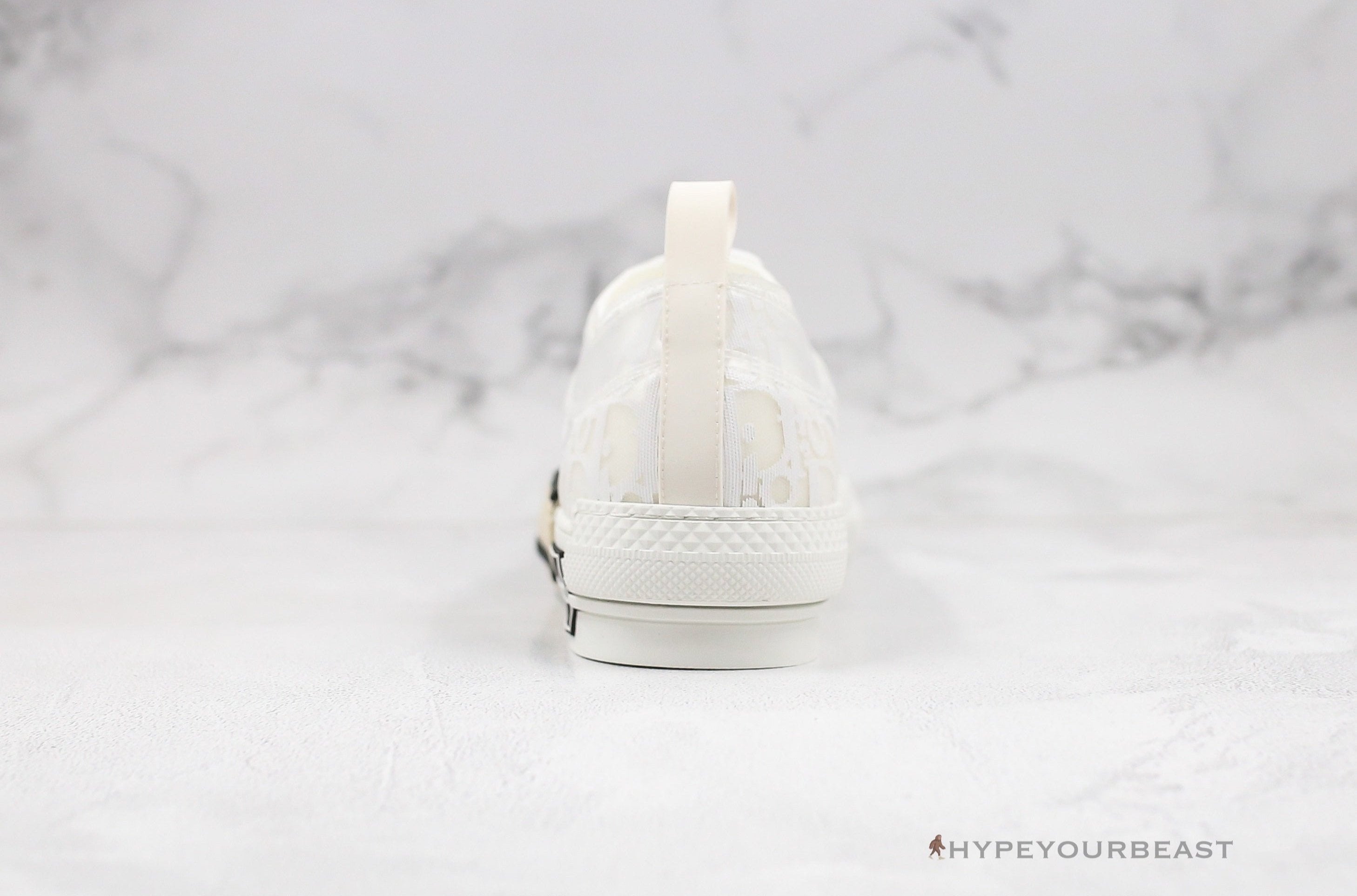 Dior B23 Low Transparent Oblique White