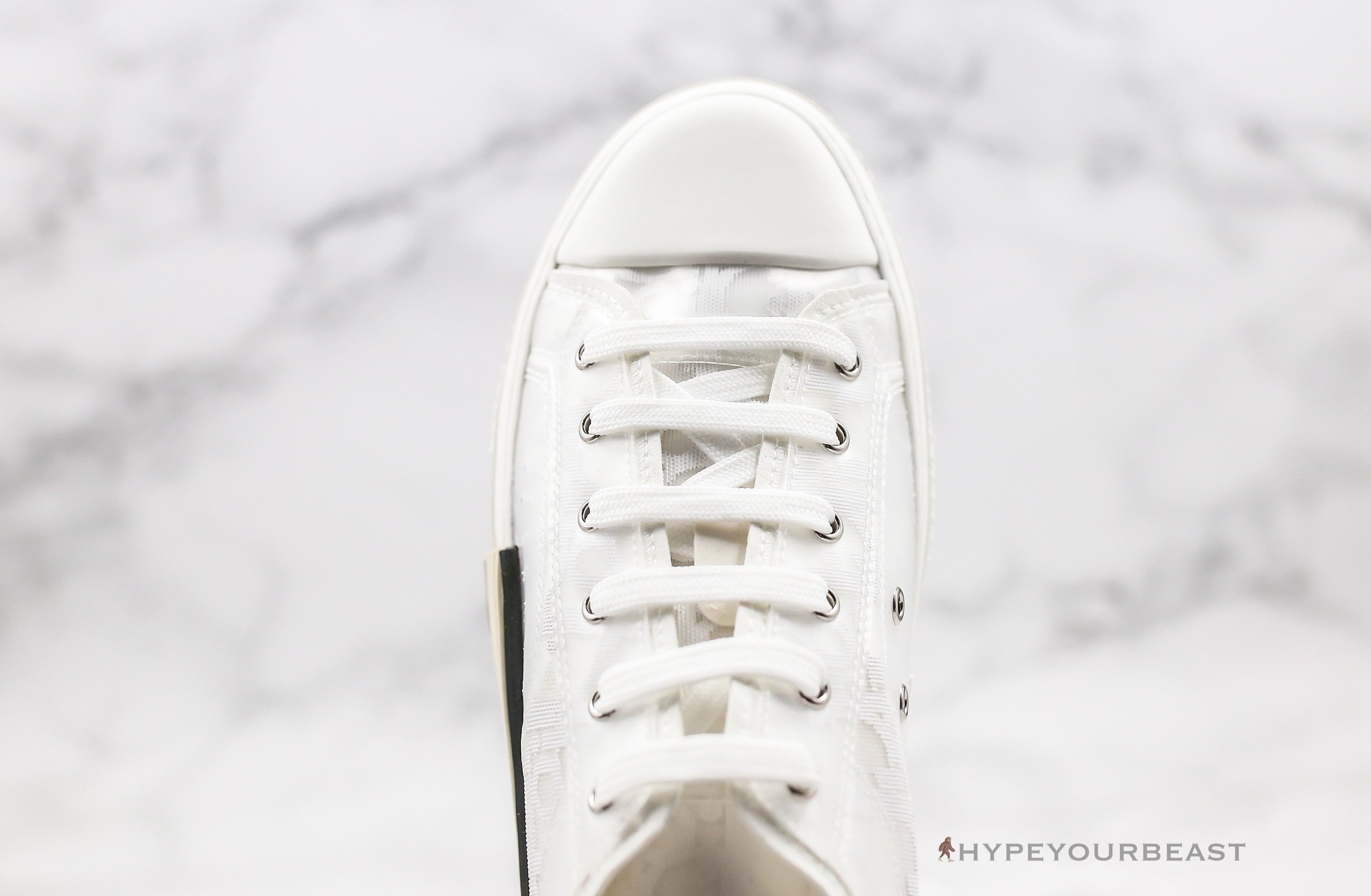 Dior B23 Low Transparent Oblique White