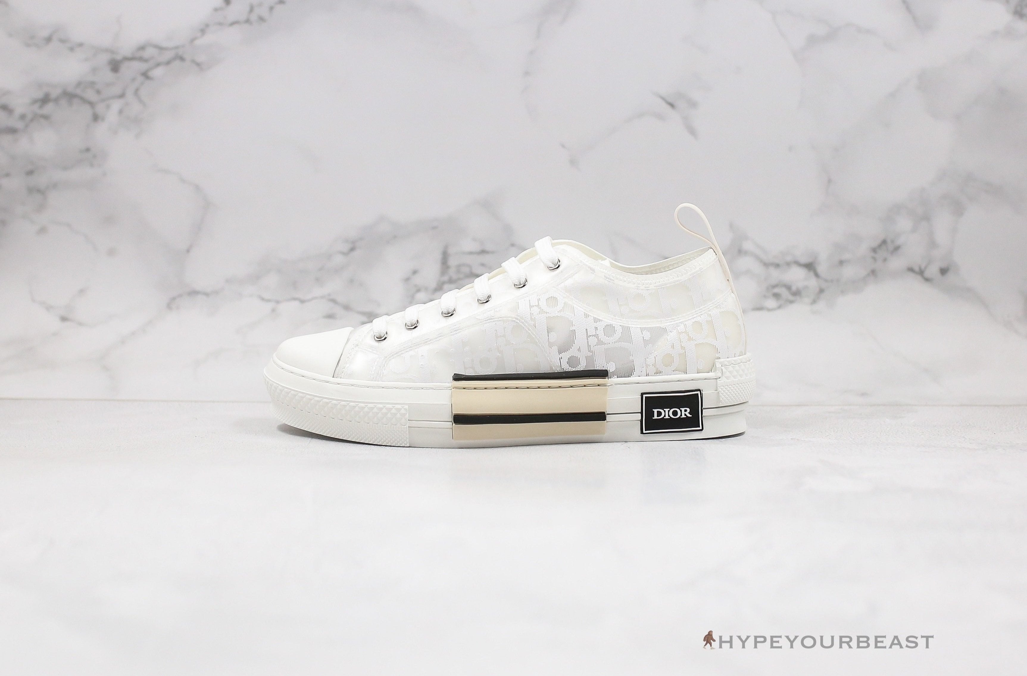 Dior B23 Low Transparent Oblique White