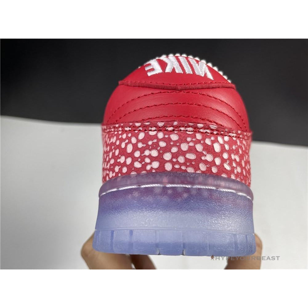 Nike Stingwater X SB Dunk Low 'Magic Mushroom'