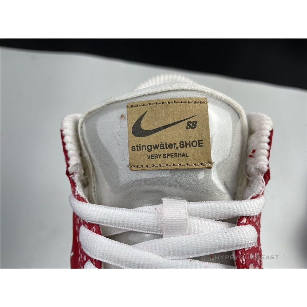 Nike Stingwater X SB Dunk Low 'Magic Mushroom'