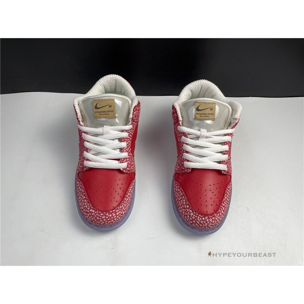 Nike Stingwater X SB Dunk Low 'Magic Mushroom'