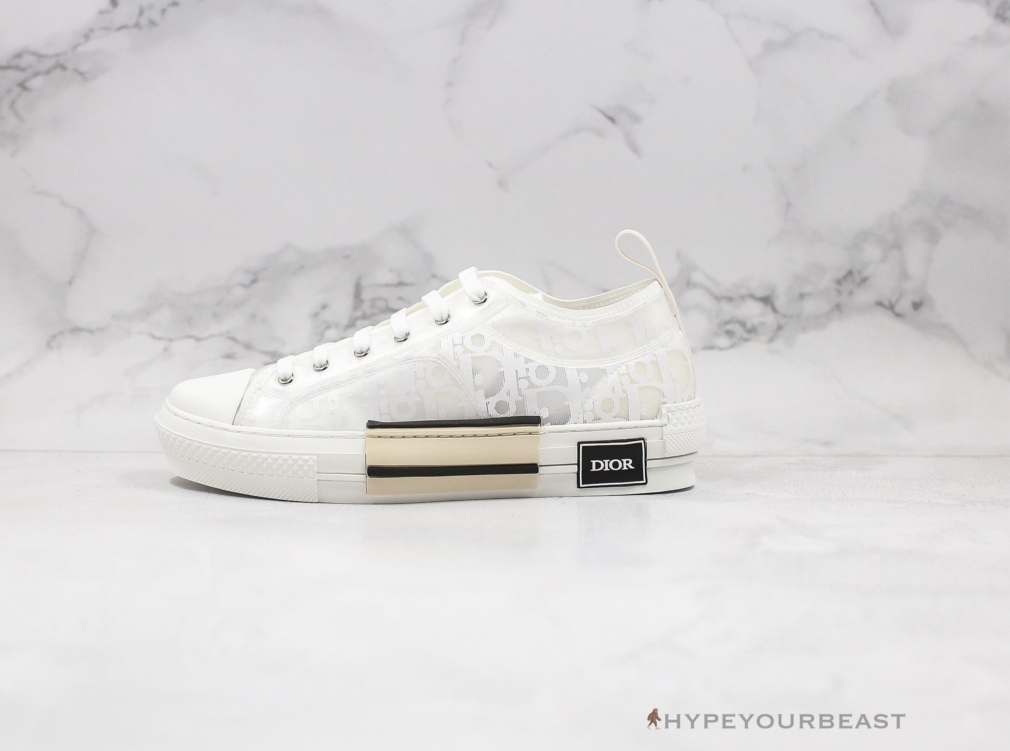 Dior B23 Low Transparent Oblique White