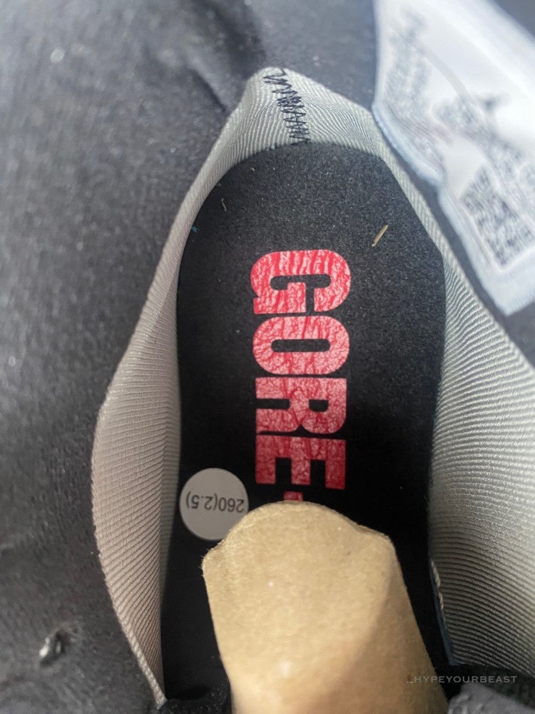 Air Jordan 1 'Element Bred'