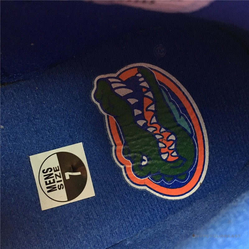 Air Jordan 4 PE 'Gators'