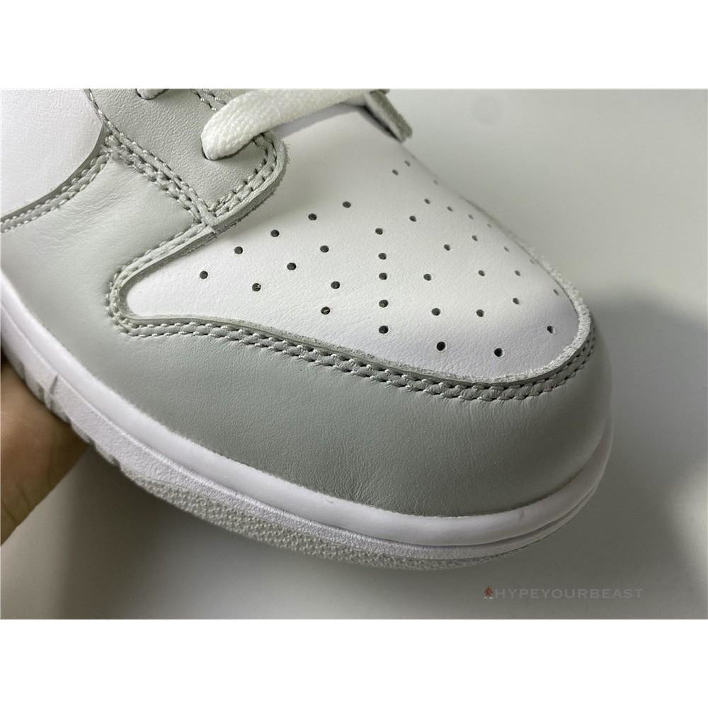 Nike SB Dunk Low 'Silver / White'