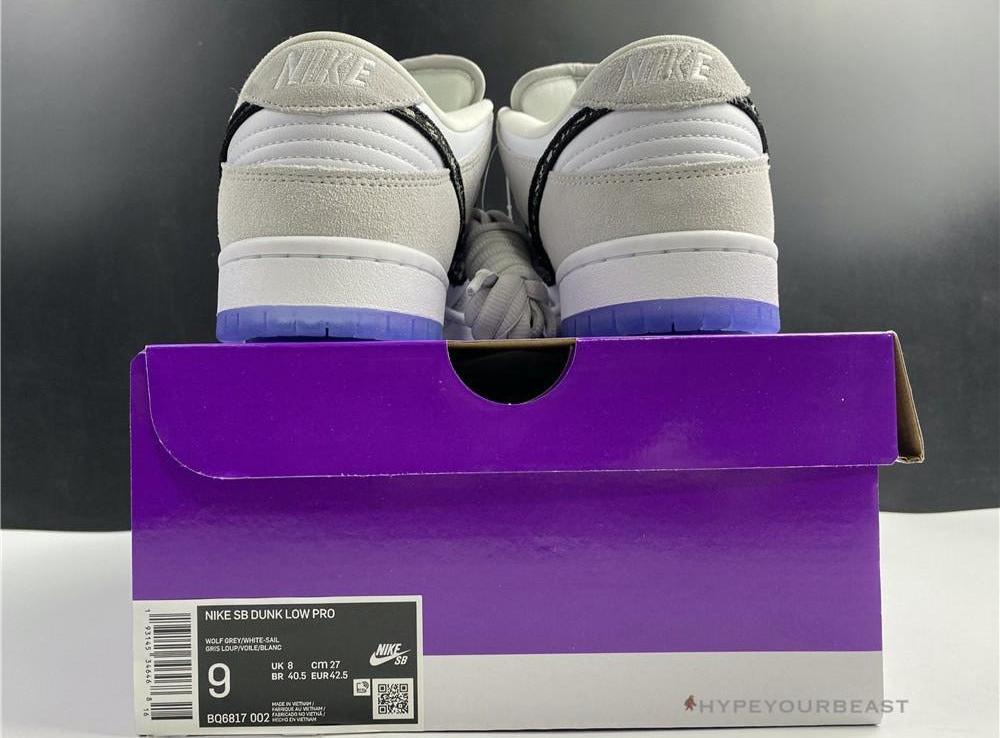 Nike Dunk Low SP 'Dior'