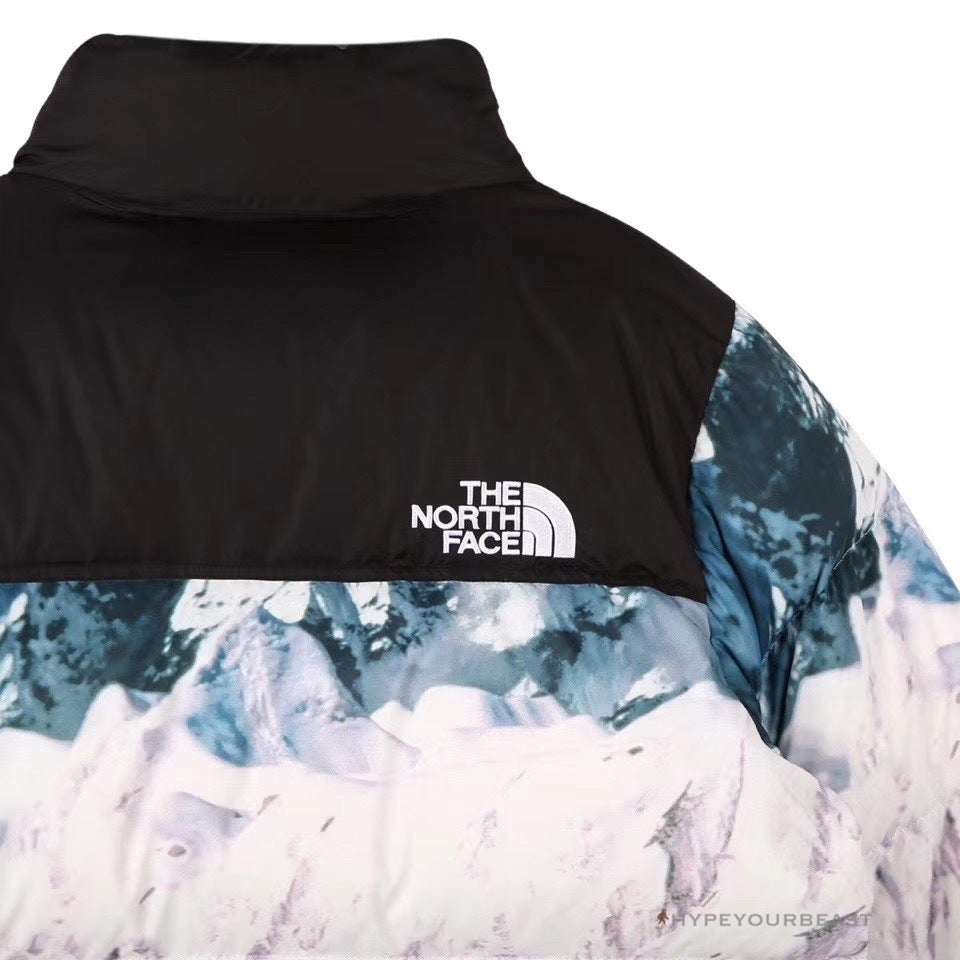 TNF Jacket